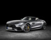 2018 Mercedes-Benz AMG GT Roadster First Drive